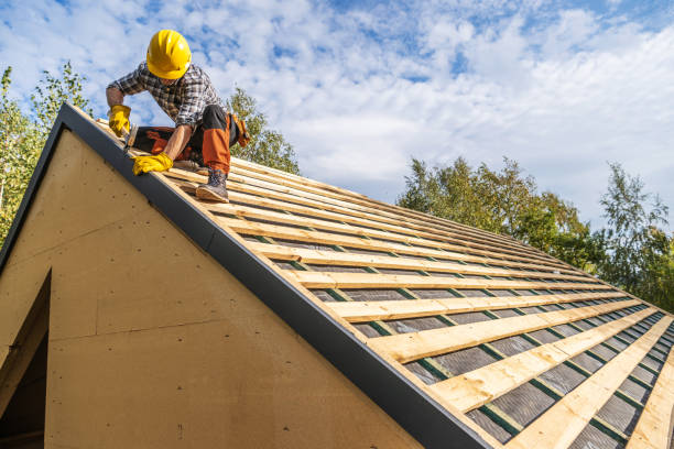 Best Shingle Roofing Installation  in Jeanerette, LA