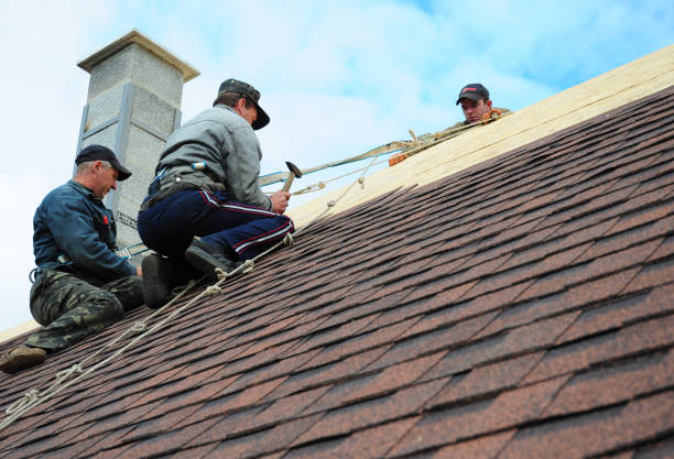 Best Roof Gutter Cleaning  in Jeanerette, LA